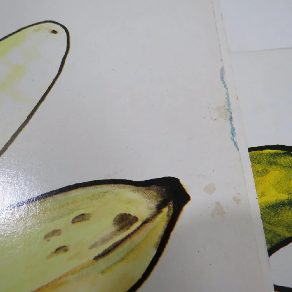 Peabody 60s FOOD Fruits (10) cards Vintage Artwork